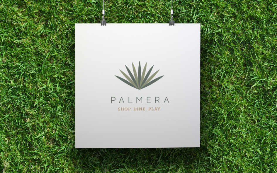 Best graphic design of palm signage in front of grass wall