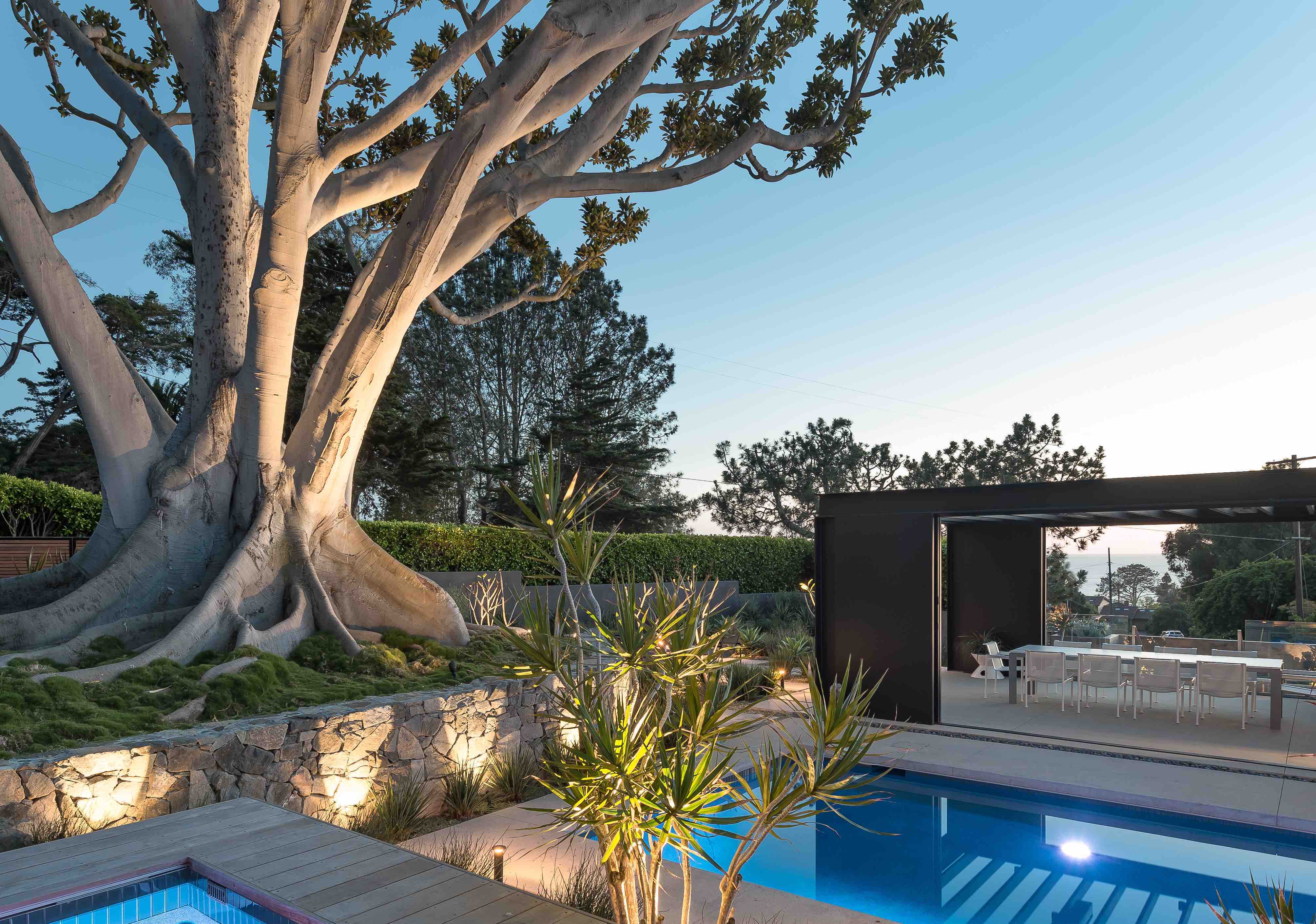 Exterior landscape design with modern pool