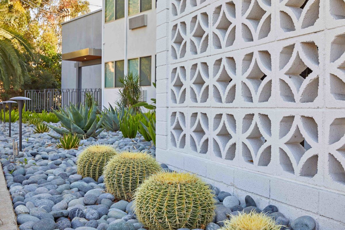 Breezeblock with cactus landscape design