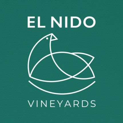 Vineyards logo design san diego