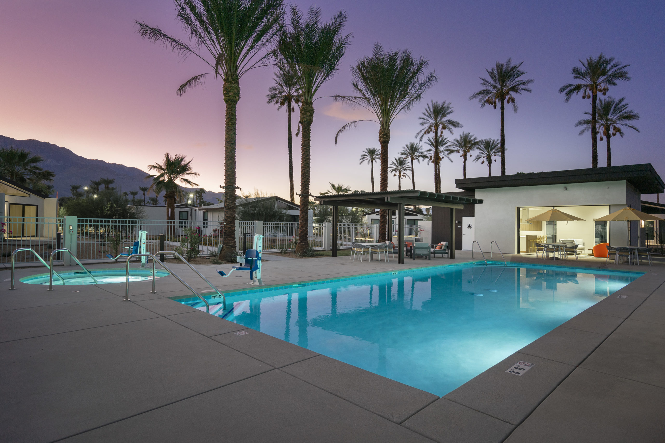 outdoor pool and palm trees