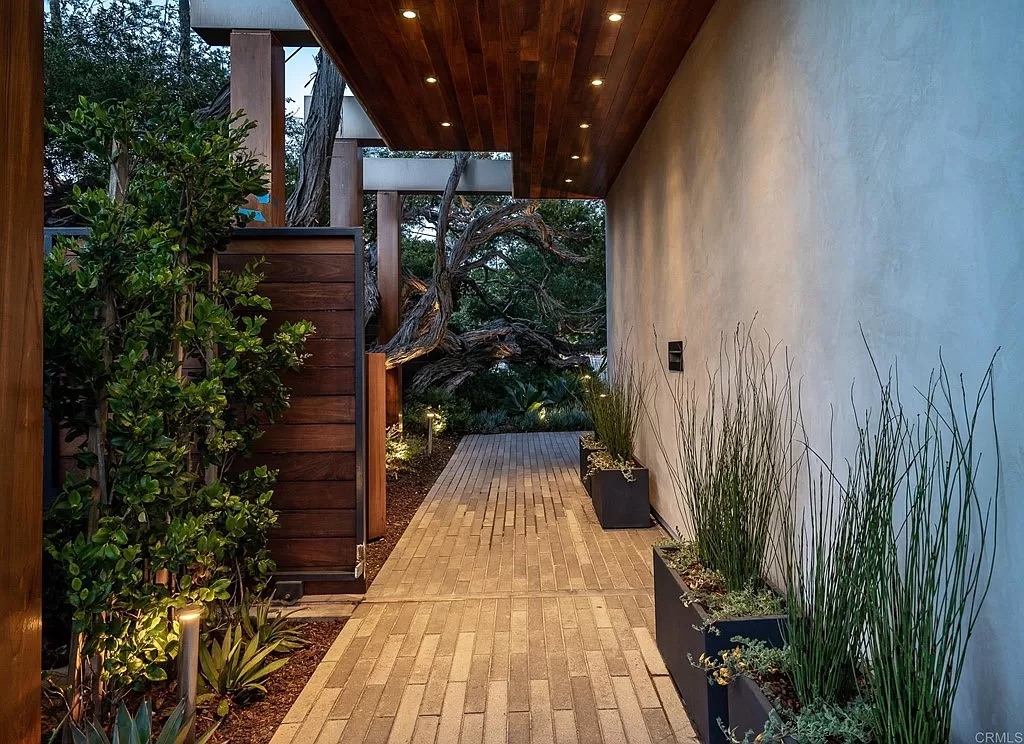 outdoor pathway with plants and lighting