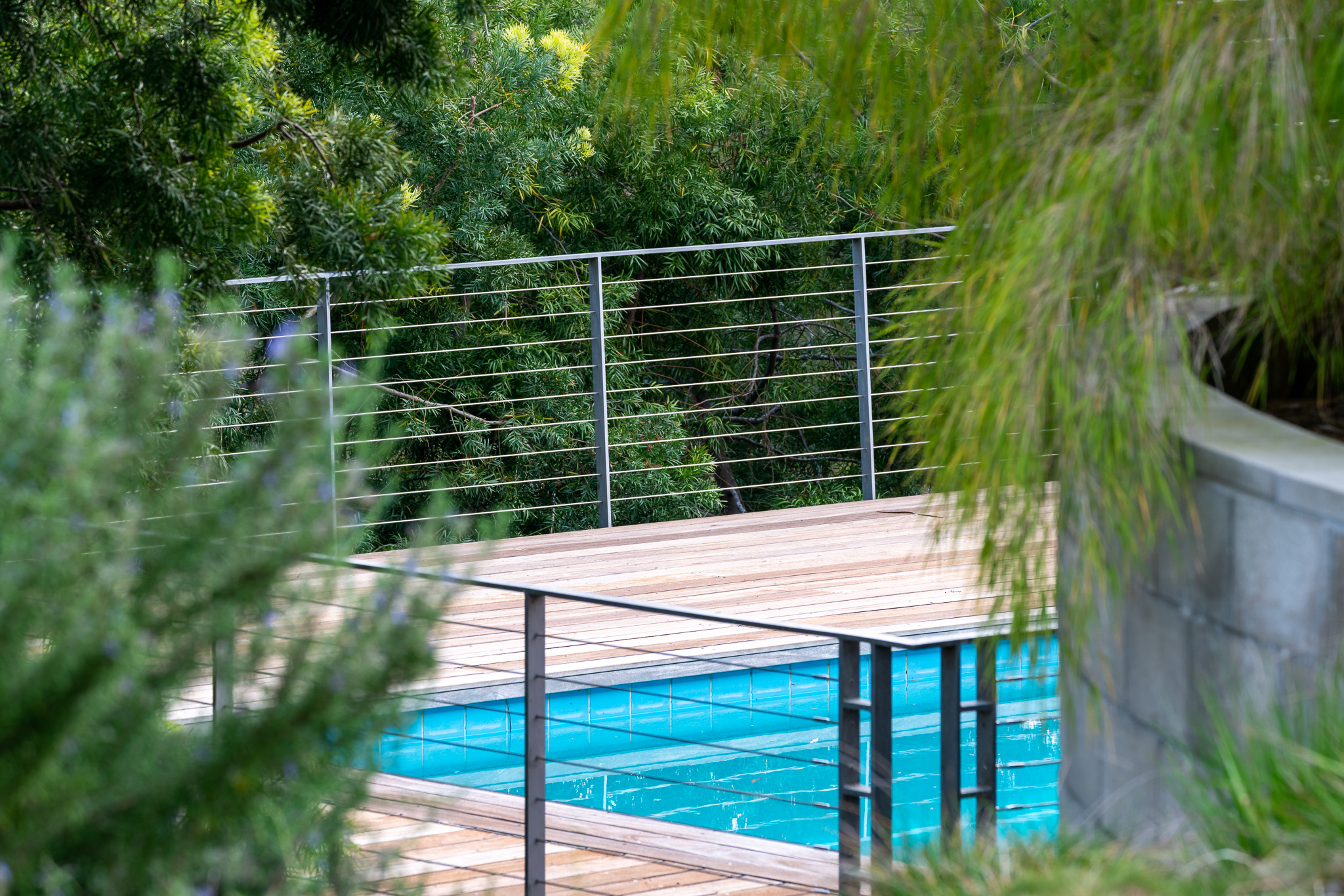 exterior pool deck with plants